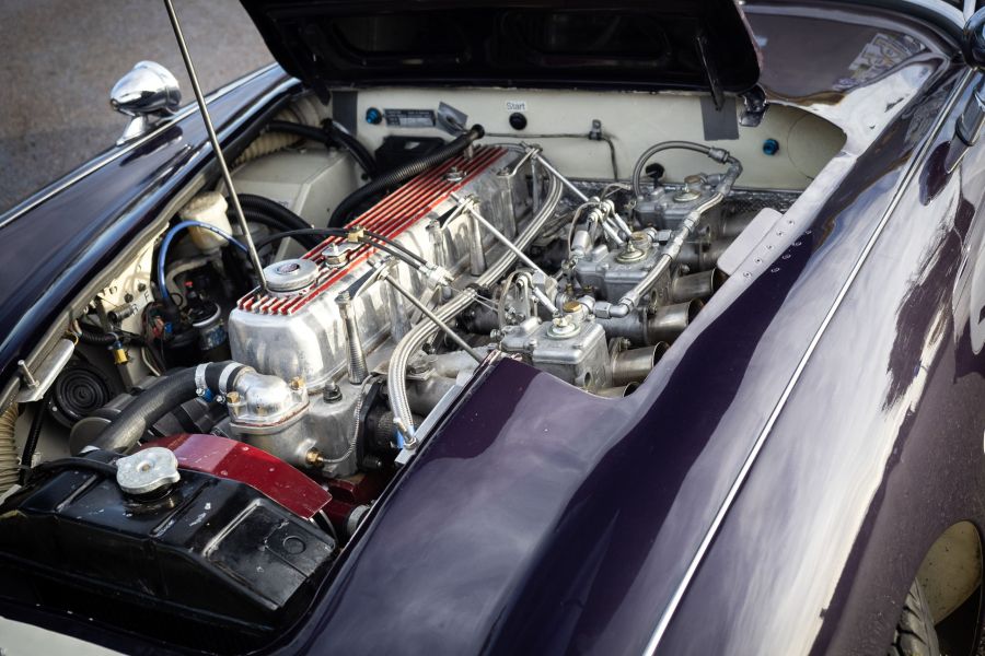 12 Austin Healy-313