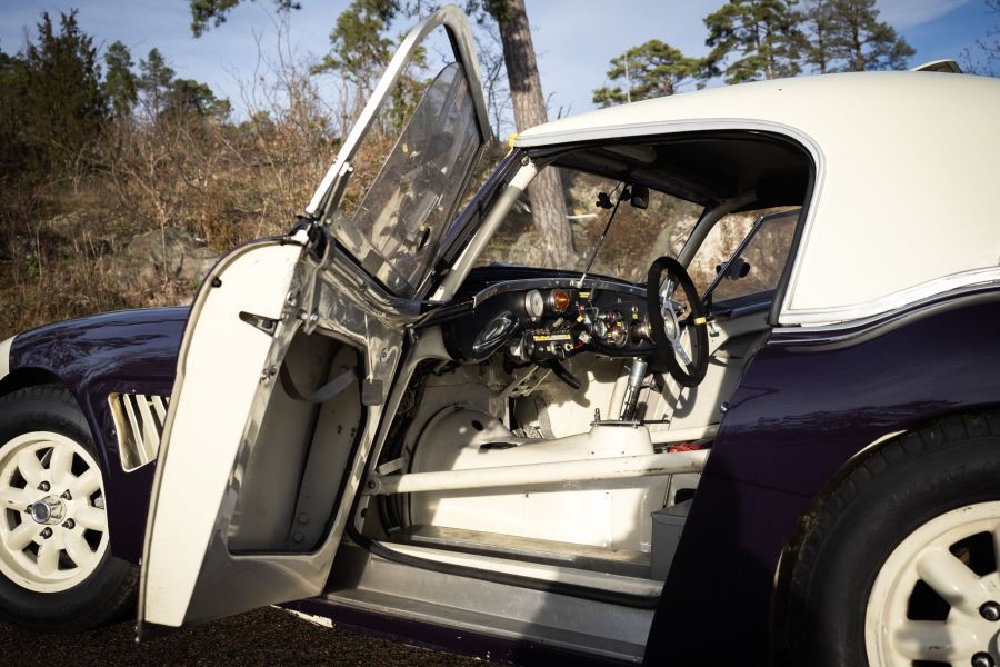 8 Austin Healy-224