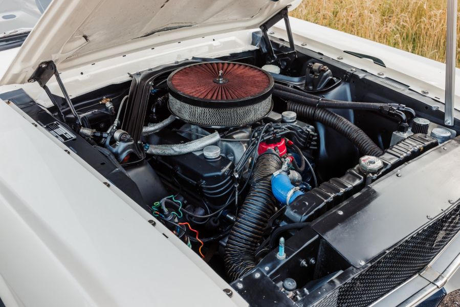 Photo by www.dennisnoten.com