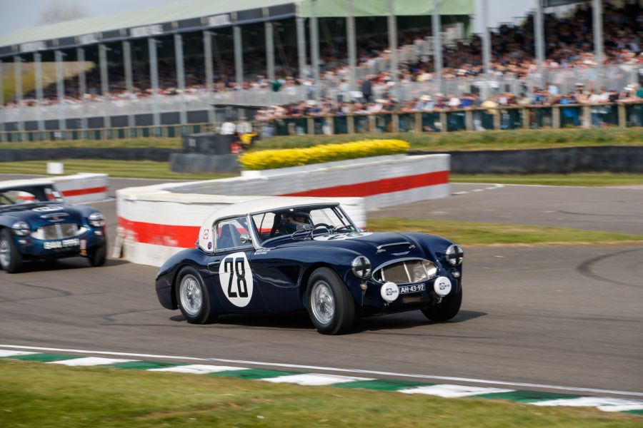Coming Soon: Austin Healey